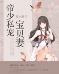 帝少私宠宝贝妻