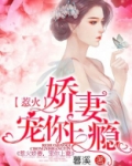 惹火娇妻,宠你上瘾电视剧全集