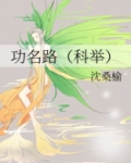 功名路科举免费阅读全文