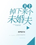 天上掉下一个未婚夫
