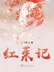 红茱记小说讲的什么