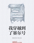 我穿越到赛尔号成为一只精灵的小说