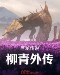 巨龙传说柳青外传