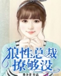 狼性总裁宠够没