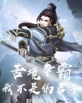 苦境争霸：我不是伪君子