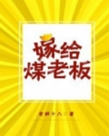 嫁给煤老板