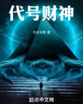 代号财神,有塔寨村小说