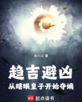 趋吉避凶：从九龙夺嫡开始