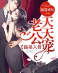 甜婚入骨，老公天天宠