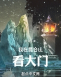 我在昆仑山看大门无防盗