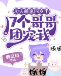 功夫萌崽四岁半，17个哥哥团宠我