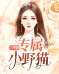 白少心尖宠 小说