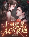 入职后，发现上司竟是双宝爹地