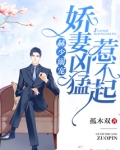 赫少溺宠:娇妻凶猛,惹不起!