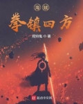 海贼之拳震九天