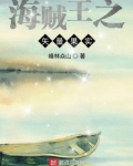 海贼王之矢量果实下载