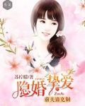 隐婚挚爱:前夫请放手