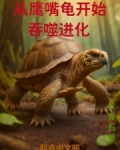 从鹰嘴龟开始吞噬进化