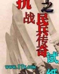 抗战之民兵传奇全文免费阅读