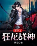 都市之狂龙战神林锋