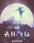 综武：天外飞仙