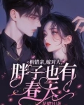 相错亲嫁对人小说