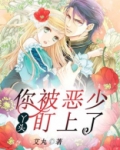 丫头你被了捕小说免费