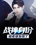战神身份被老婆发现了
