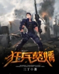狂兵赘婿 三丁