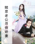 赎罪老公寻债娇妻小说