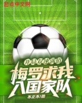 开局双速满值，梅罗求我入国家队