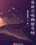 我的召唤物很奇怪 小说