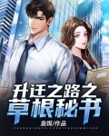 草根平民升迁之路