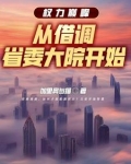 权力巅峰:从借调省委大院开始TXT