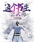 这个书生会武功 第121章