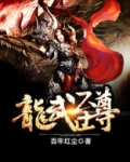 龙武至尊免费阅读