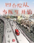 四合院从当医生开始 小说
