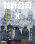 脑叶公司X