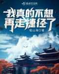 我真的不想再走捷径了免费阅读