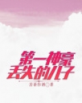 神豪失踪回来当爷爷的小说