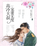 高冷大叔宠妻无度小说完整版