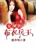 女神的布衣兵王有声小说