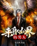来自仙界的男人修炼境界