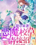甜心来袭：恶魔校草请接招