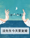 沈先生今天复婚了吗?七星叶