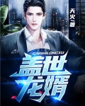 盖世龙婿