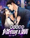 美女总裁的修仙狂婿小说