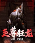 至尊狂龙男主角罗宾女主角肖雨笛