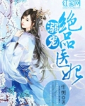 溺宠绝品医妃全文免费