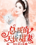 总裁的天价甜妻全文免费阅读正版